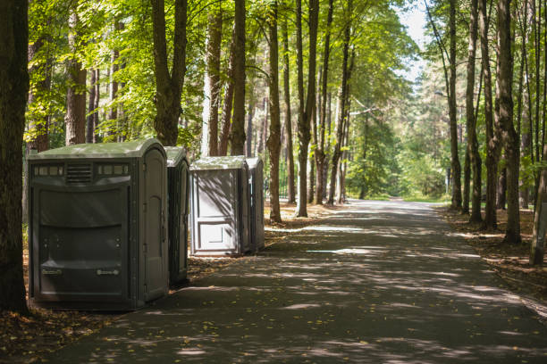 Best Affordable portable toilet rental  in Westby, WI